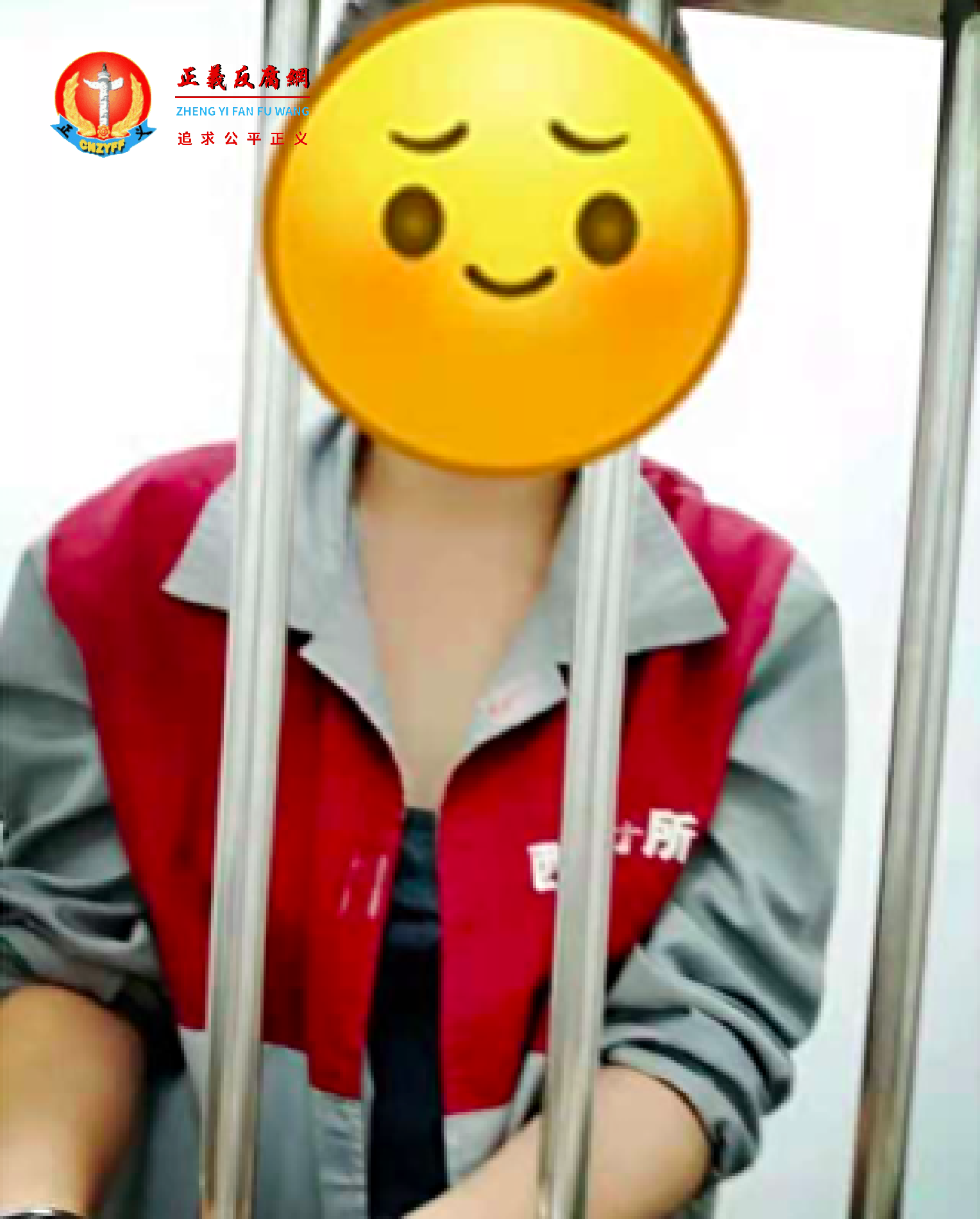 女儿被冤判十年 母曝办案人员索要百万赎金