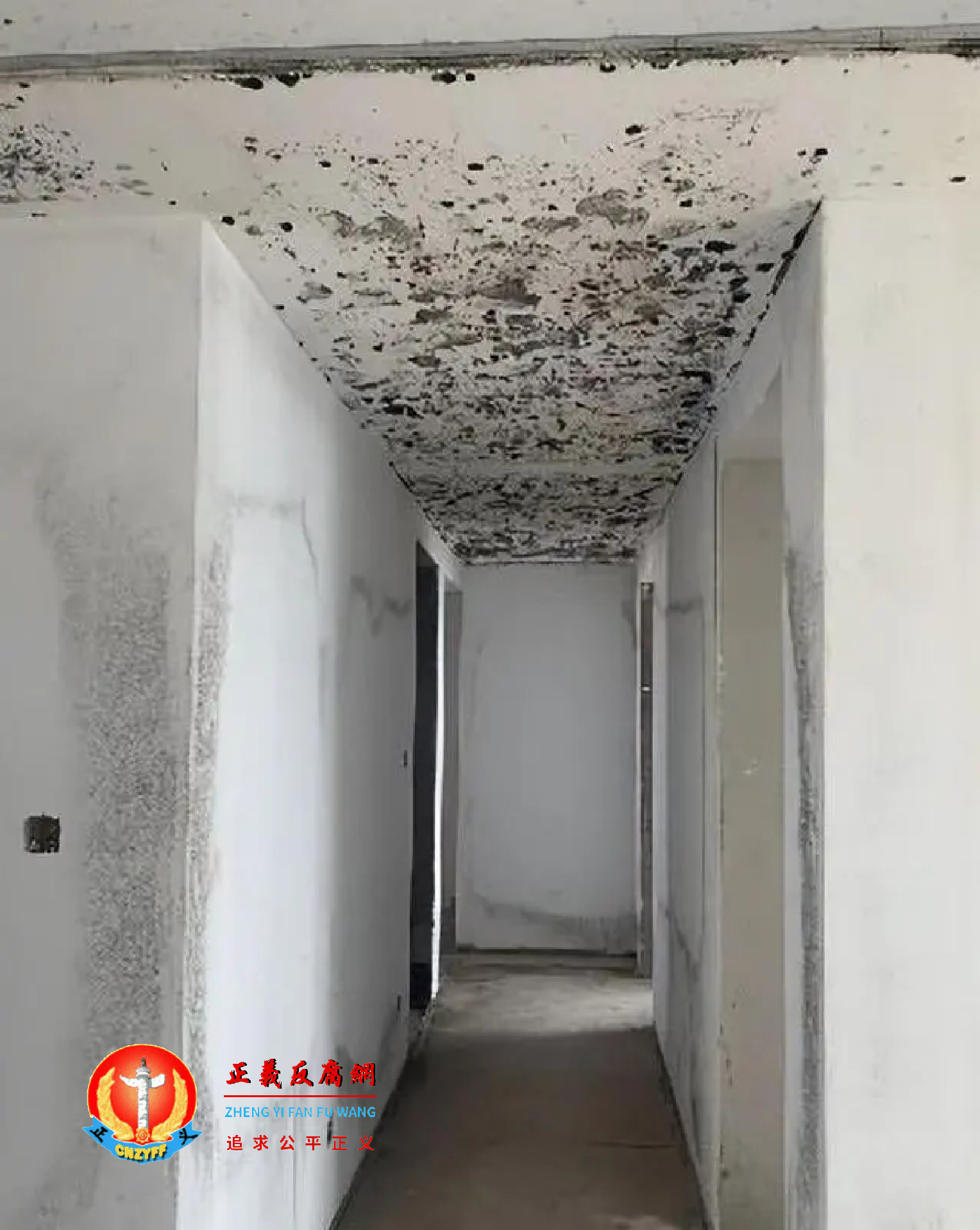金沙乐府楼盘房屋内出现霉斑。.png