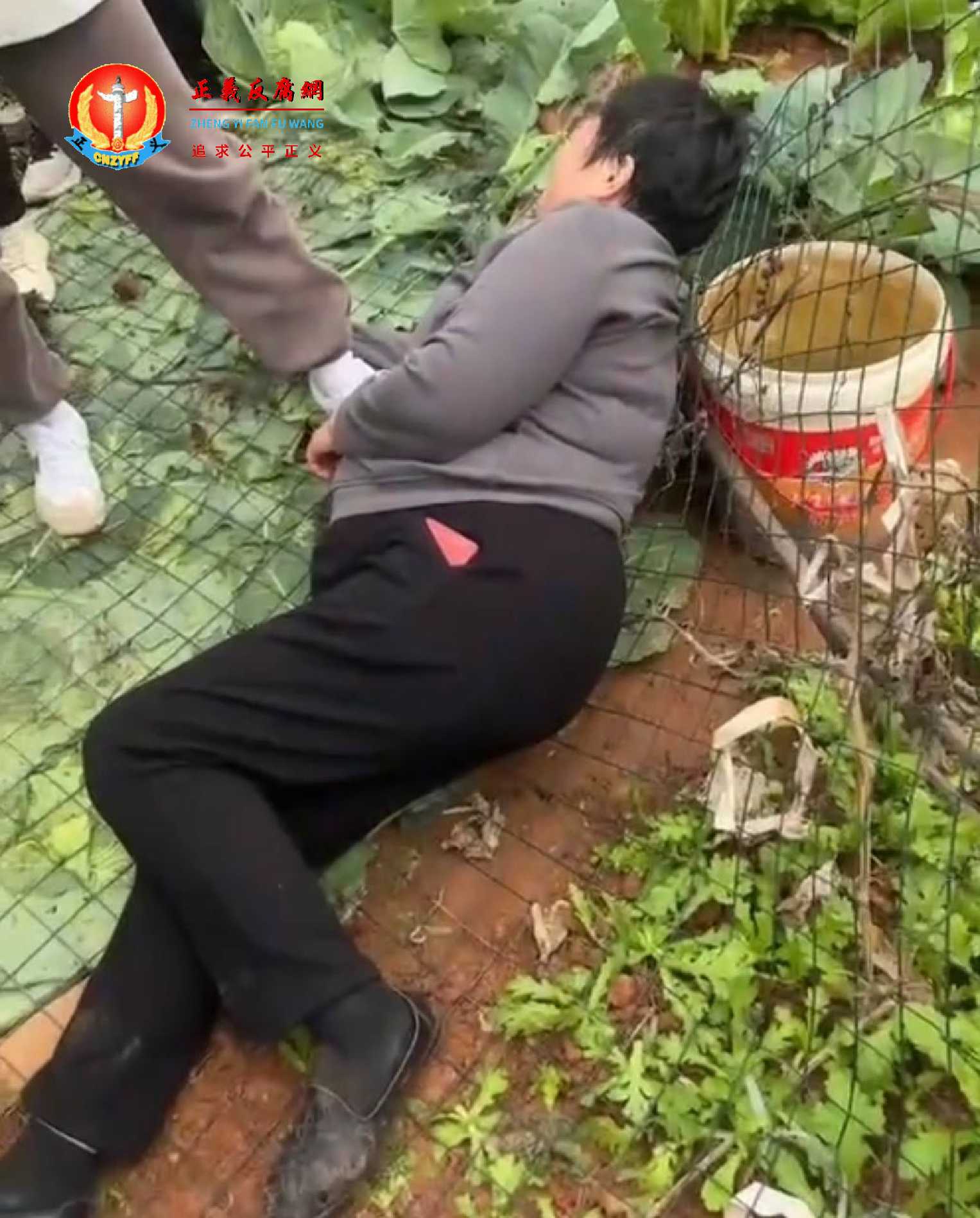 被推倒的老人。.jpg 被推倒的老人。.jpg