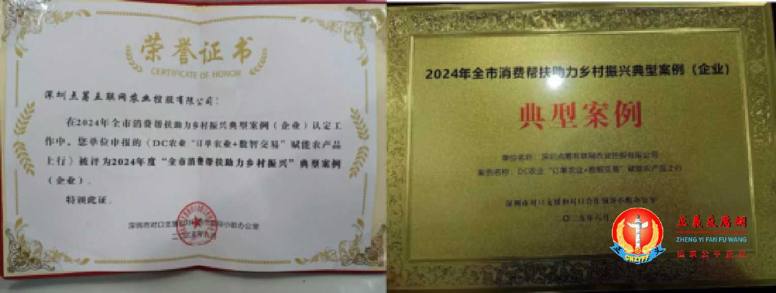 DC农业控股入选“2024年全市消费帮扶助力乡村振兴典型案例（企业）”、“荣誉证书”.jpg